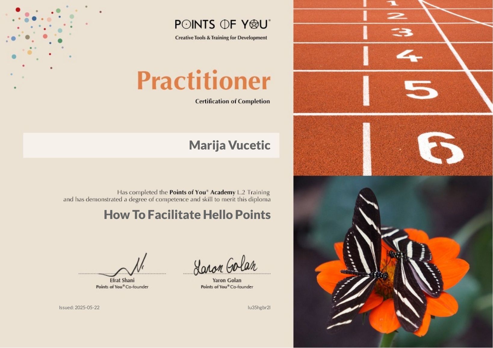 Points of You® – Practitioner (Level 2)